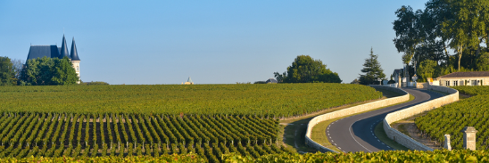 Vignobles